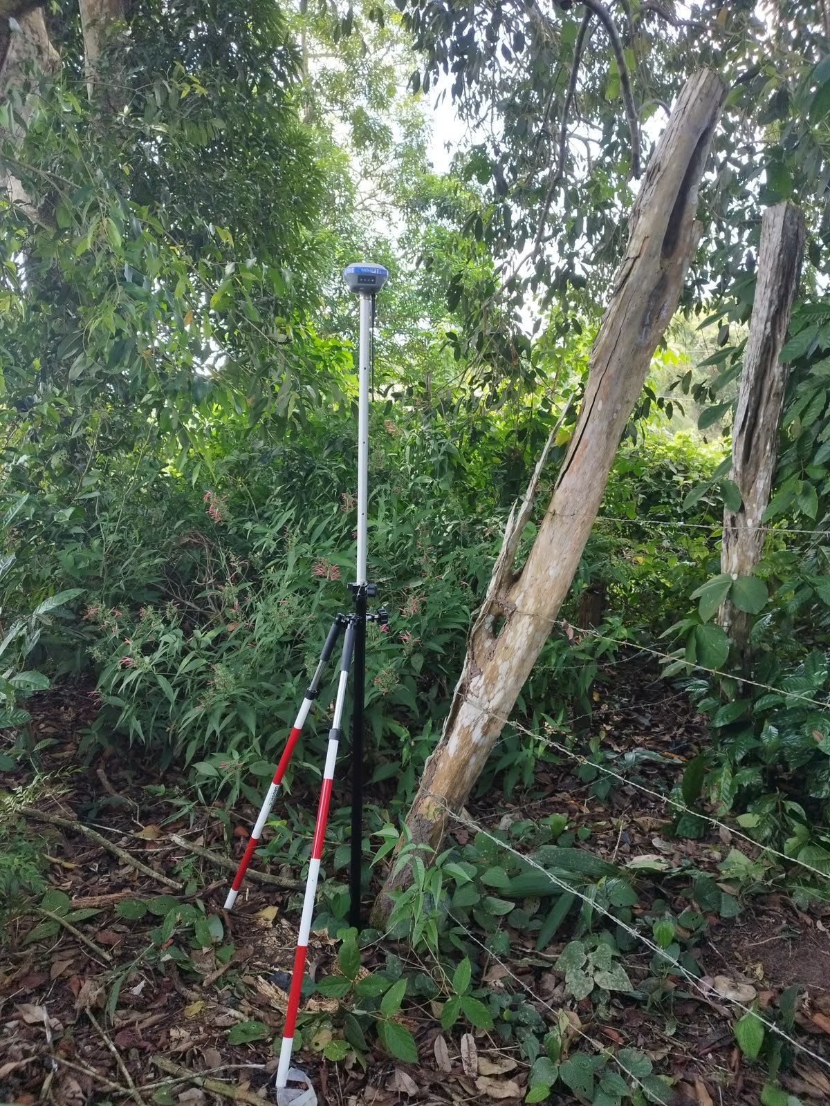 Receptor GNSS instalado em área de vegetação
